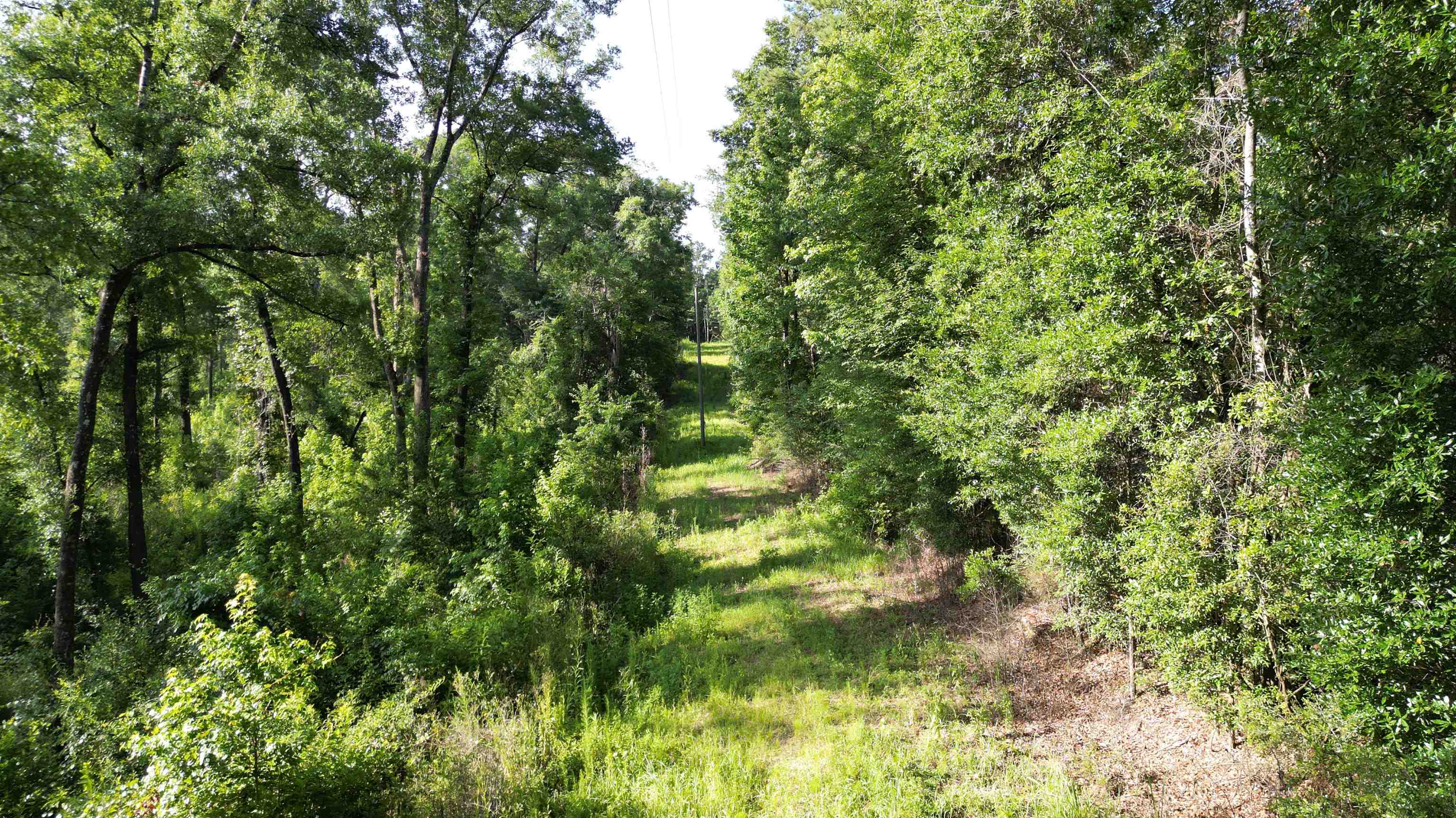 1050 Cedar Creek Landing Road Mount Vernon, AL 36560 - Photo 52 of 59 View
