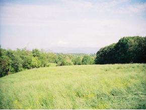 0 Wykle Road Greeneville, TN 37743 - Photo 1 of 1 Photo 1