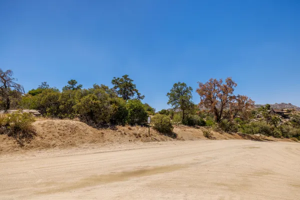 a view of a dry yard with trees
