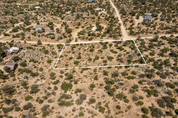 a bathroom with a shower curtain