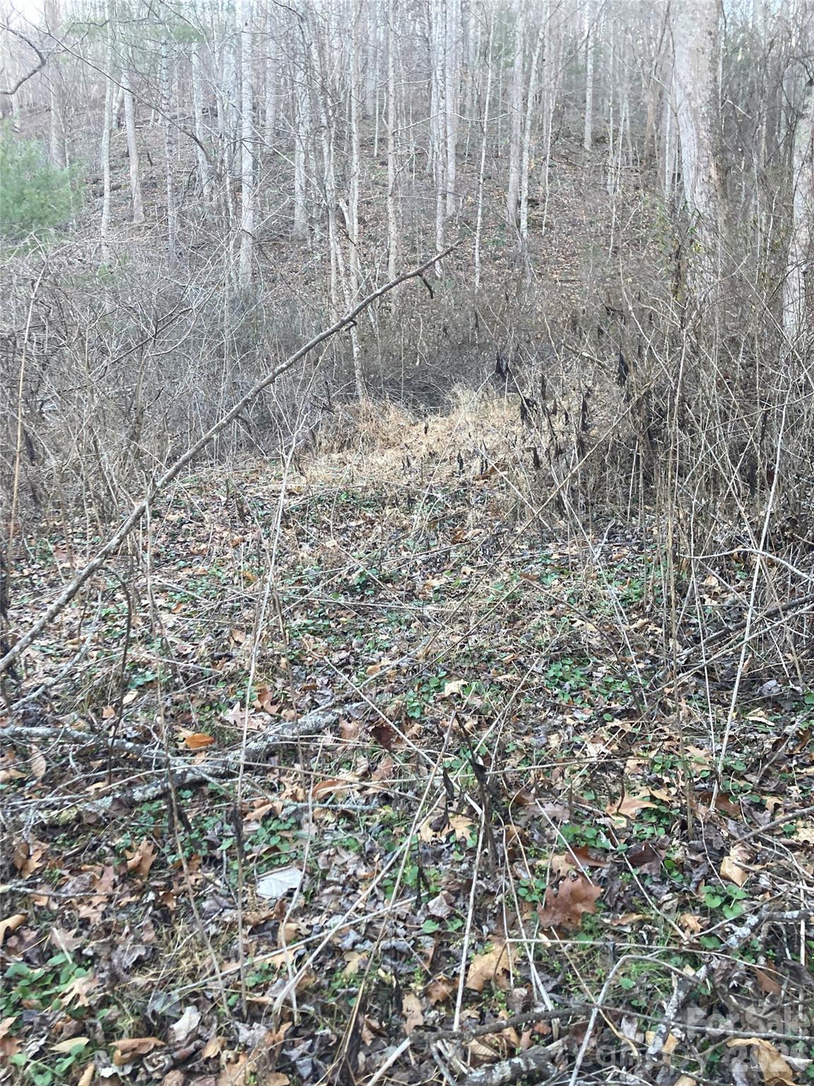 0 Sweet Creek Road Bakersville, NC 28705 - Photo 11 of 48 a view of a dry yard with wooden fence