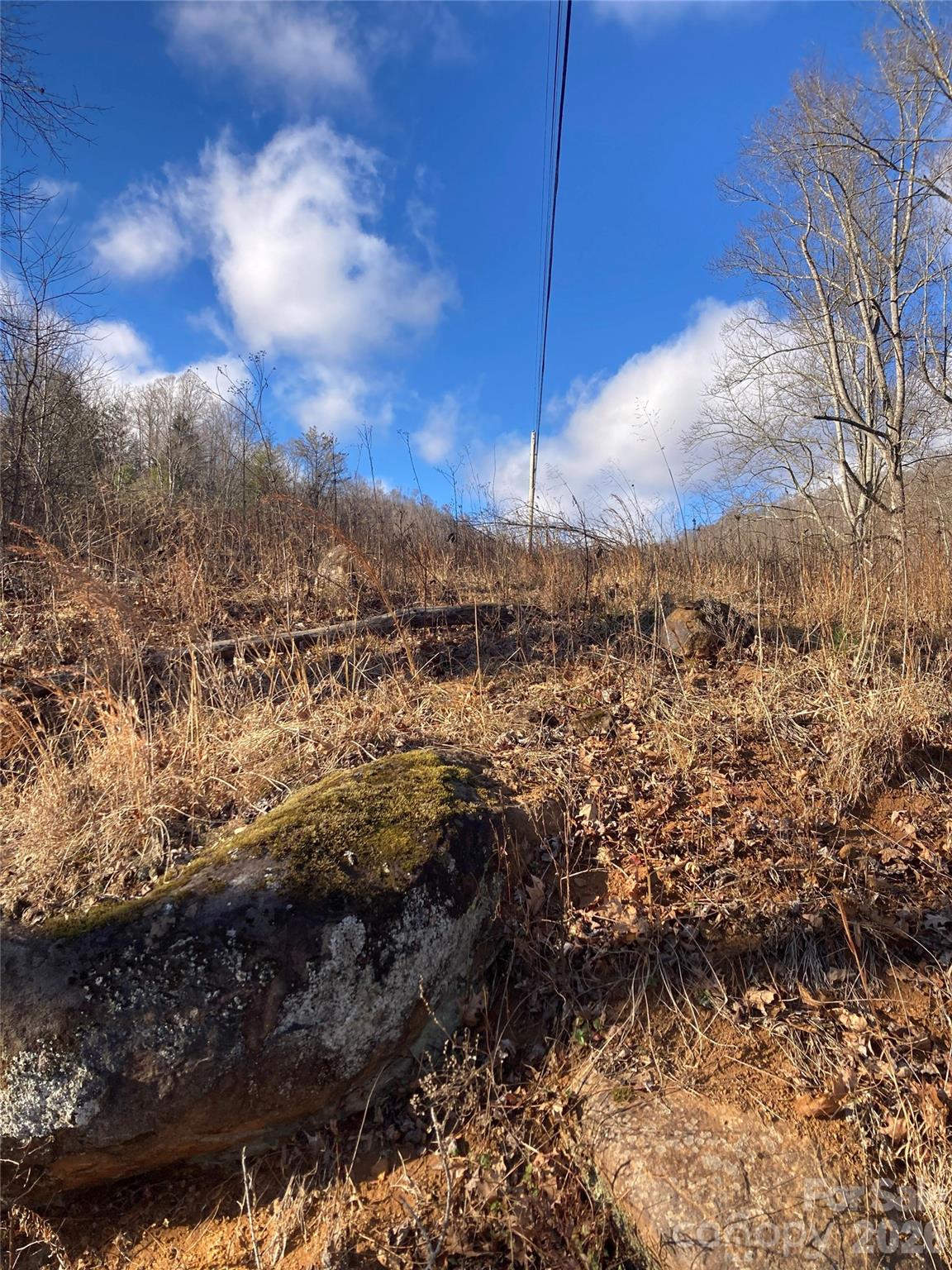 0 Sweet Creek Road Bakersville, NC 28705 - Photo 13 of 48 a view of a yard
