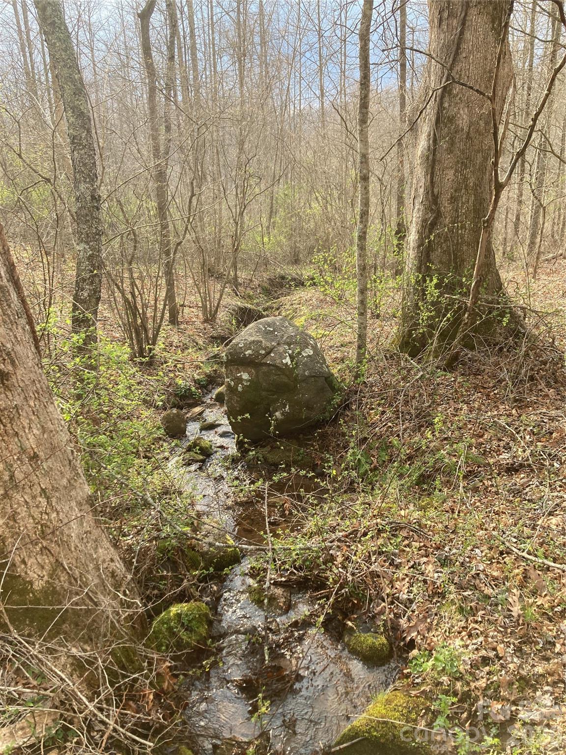 0 Sweet Creek Road Bakersville, NC 28705 - Photo 14 of 48 a view of garden