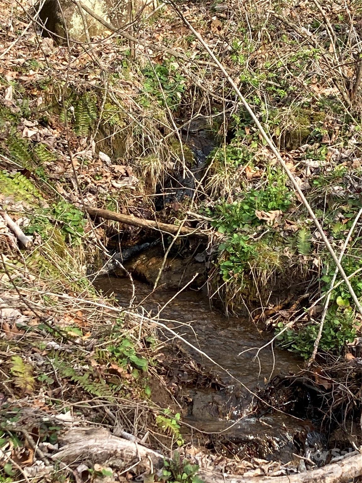 0 Sweet Creek Road Bakersville, NC 28705 - Photo 15 of 48