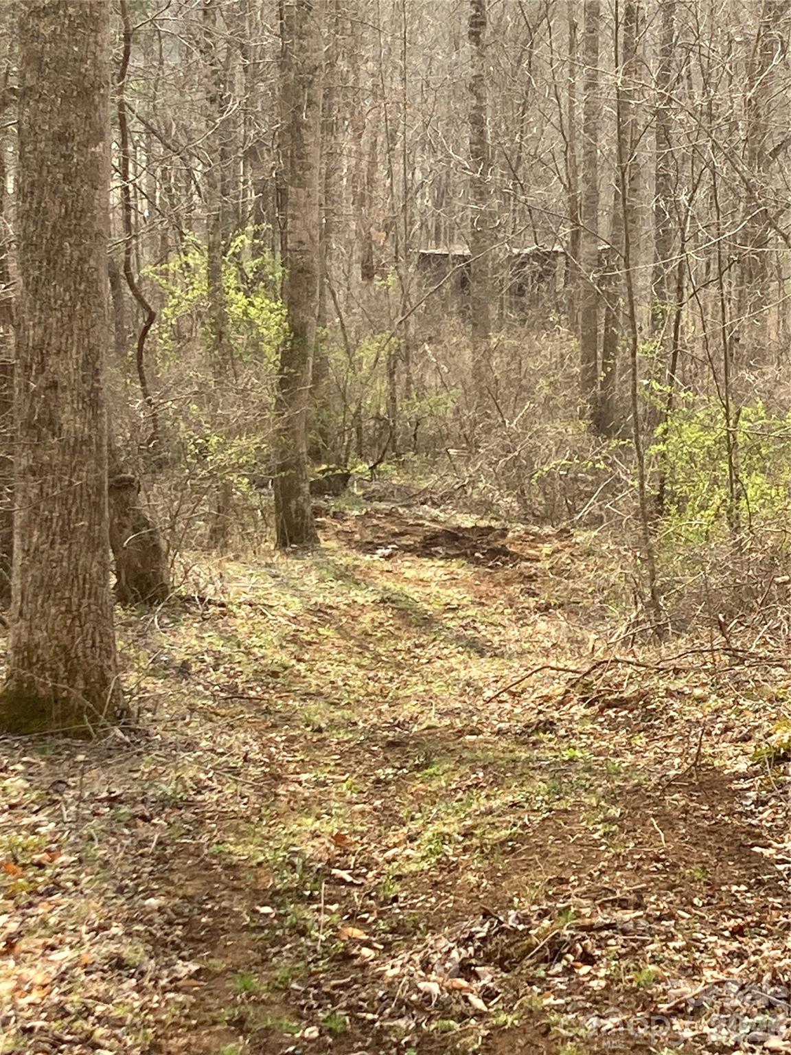 0 Sweet Creek Road Bakersville, NC 28705 - Photo 17 of 48 a bathroom with shower