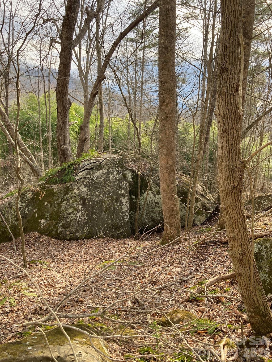 0 Sweet Creek Road Bakersville, NC 28705 - Photo 19 of 48 a view of a yard with trees