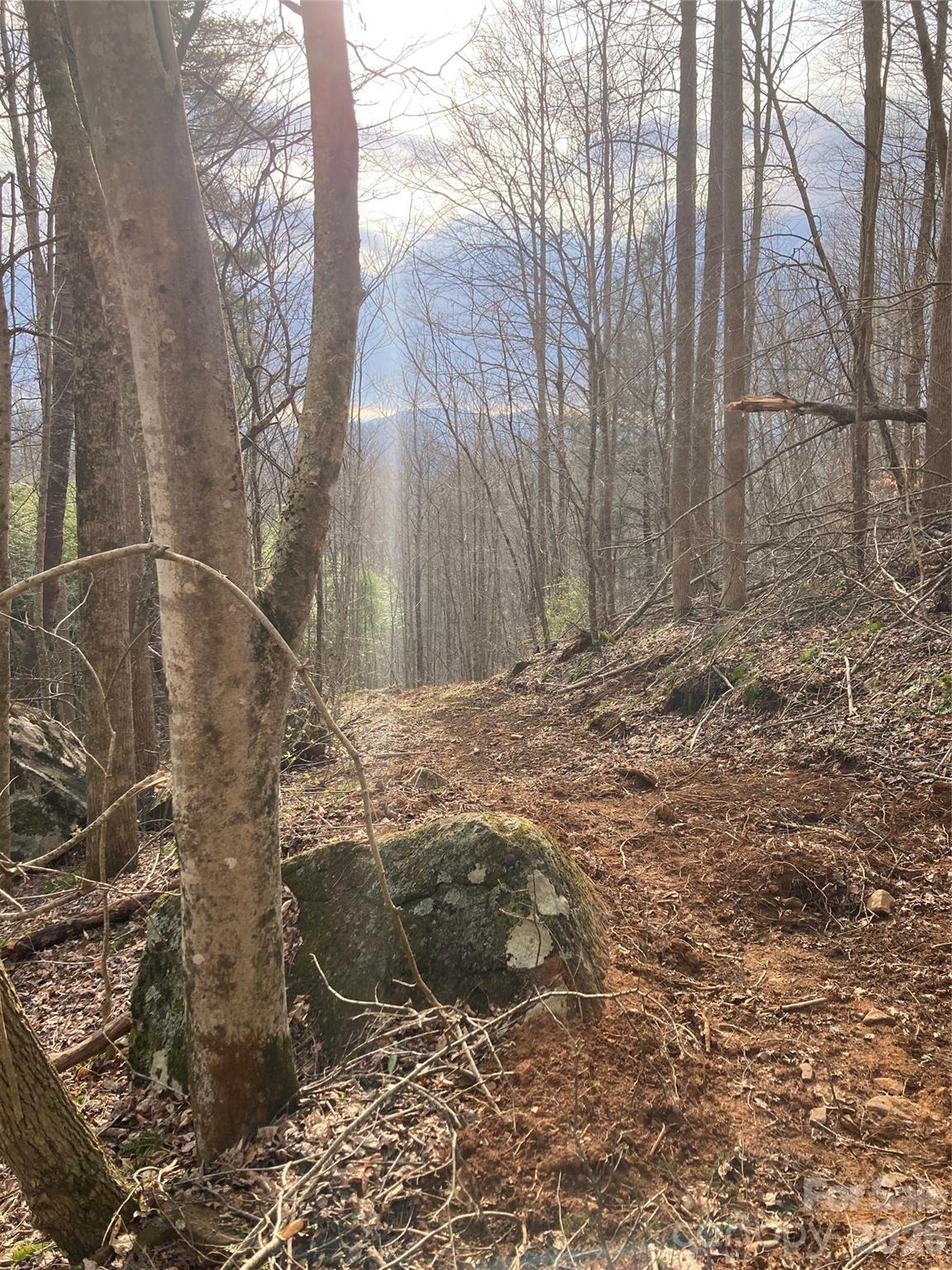 0 Sweet Creek Road Bakersville, NC 28705 - Photo 20 of 48 a view of a backyard of the house