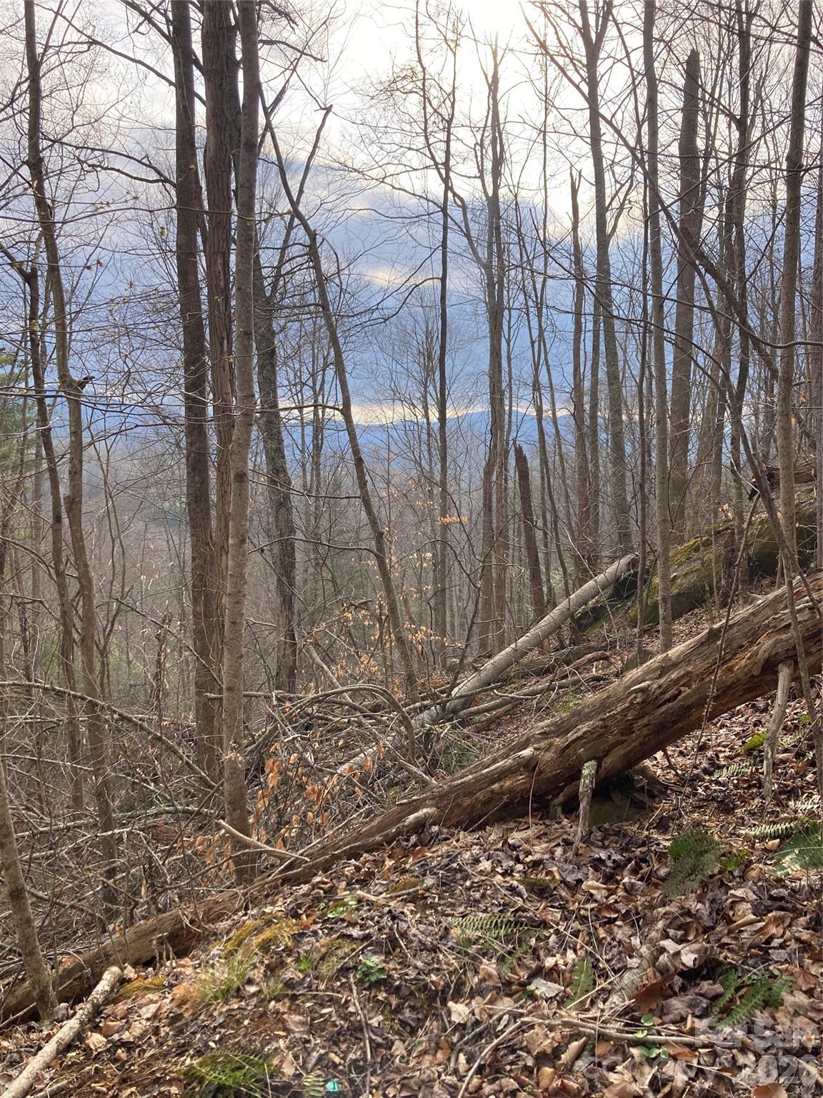 0 Sweet Creek Road Bakersville, NC 28705 - Photo 25 of 48 a view of a backyard with trees