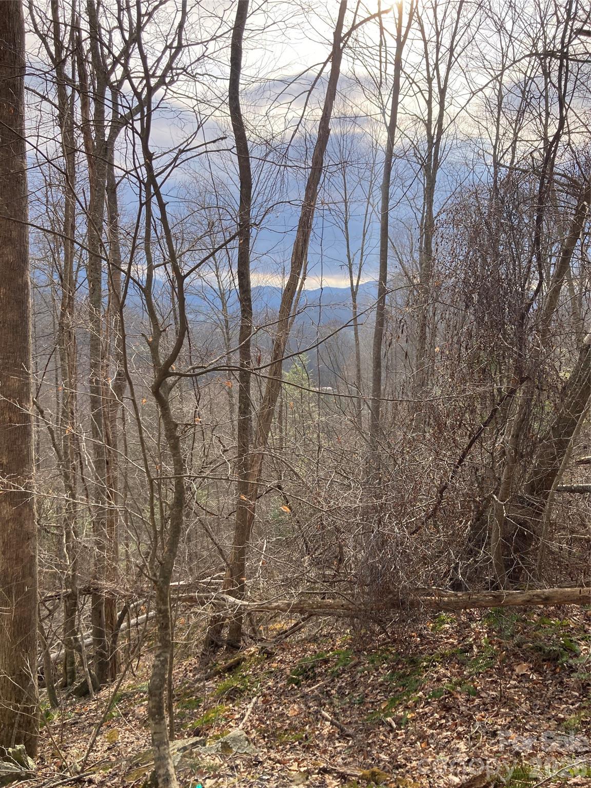 0 Sweet Creek Road Bakersville, NC 28705 - Photo 26 of 48 a backyard of a house with lots of trees
