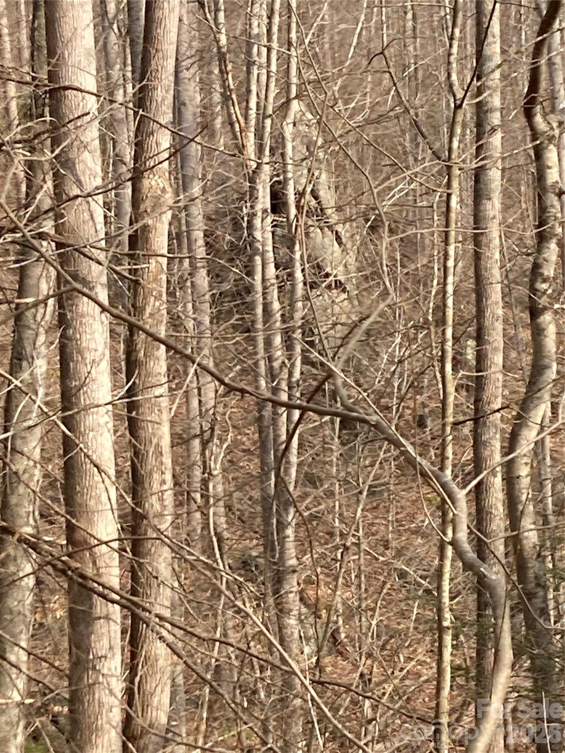 0 Sweet Creek Road Bakersville, NC 28705 - Photo 27 of 48