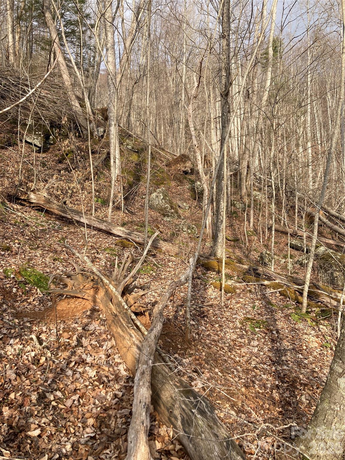 0 Sweet Creek Road Bakersville, NC 28705 - Photo 28 of 48