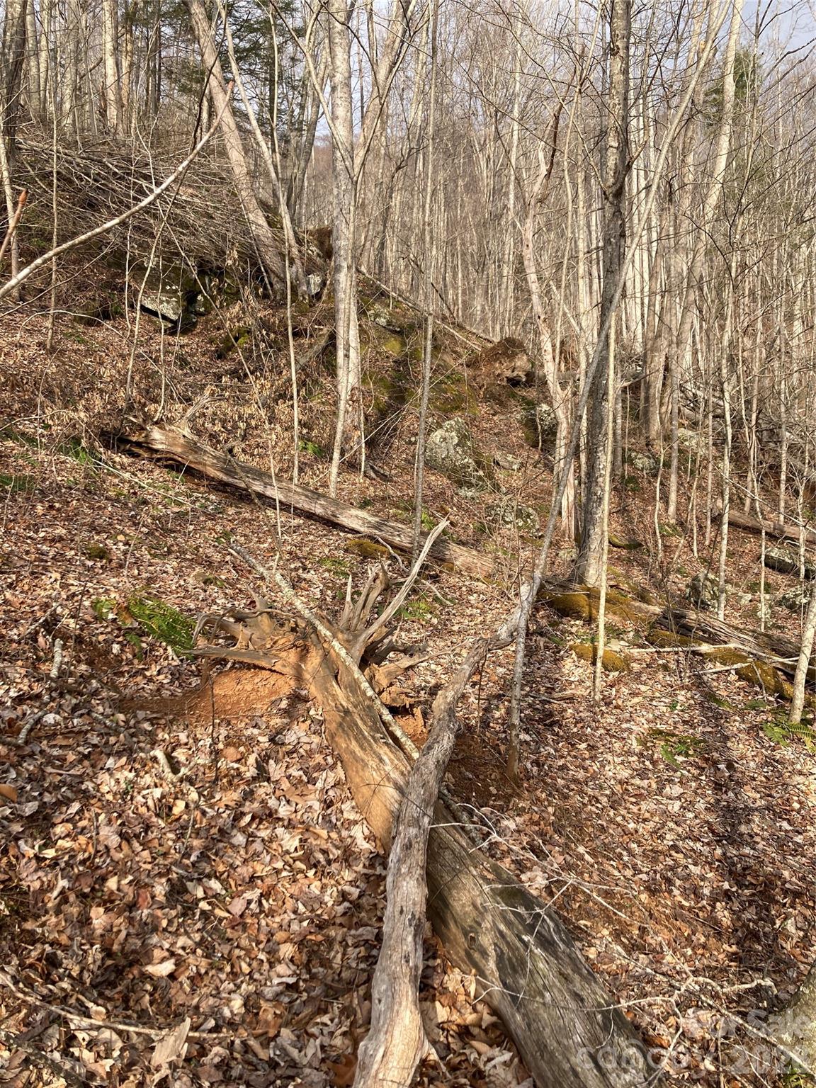 0 Sweet Creek Road Bakersville, NC 28705 - Photo 30 of 48