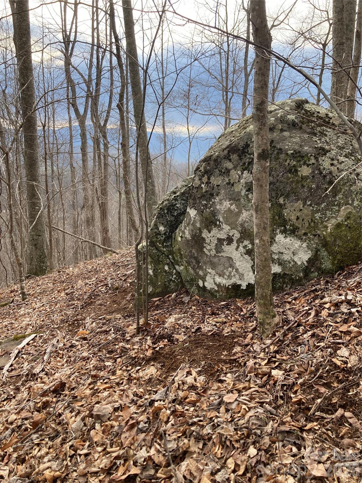 0 Sweet Creek Road Bakersville, NC 28705 - Photo 33 of 48 a backyard of a house with large trees