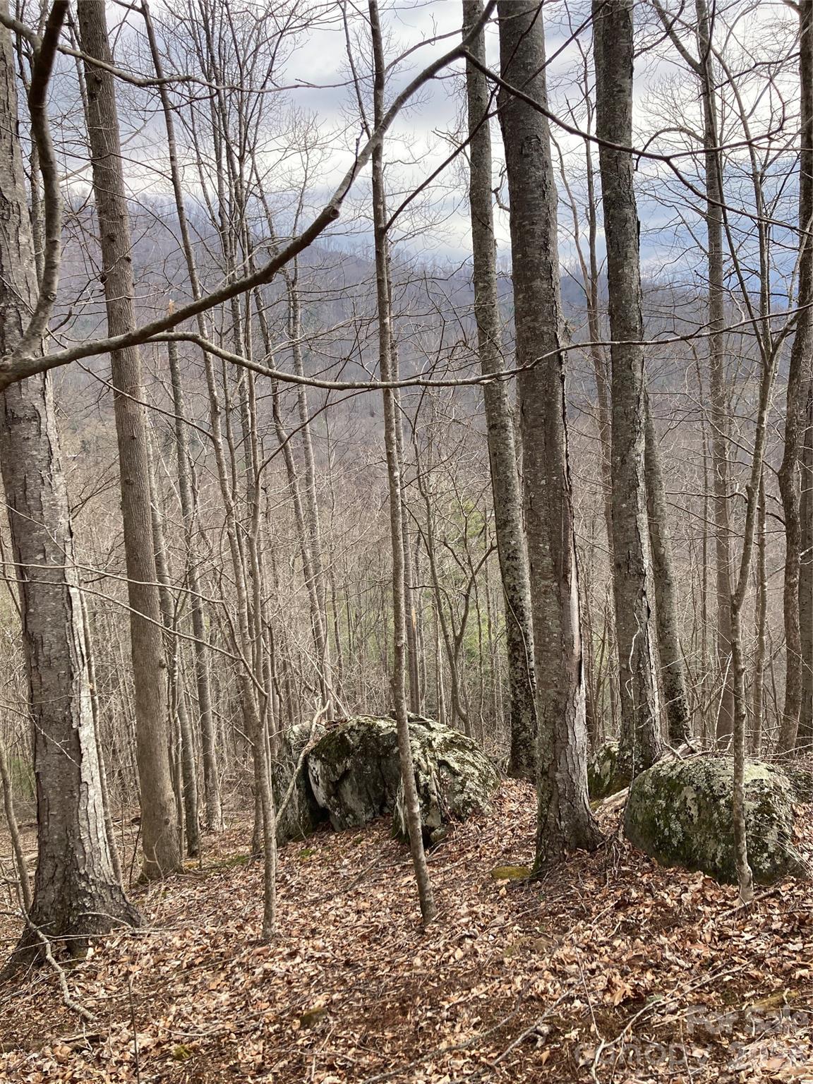 0 Sweet Creek Road Bakersville, NC 28705 - Photo 34 of 48 a view of a backyard of the house