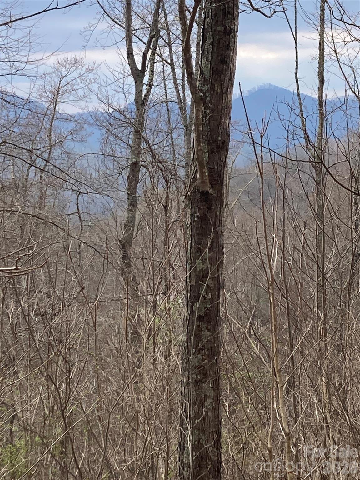 0 Sweet Creek Road Bakersville, NC 28705 - Photo 36 of 48 a view of a yard