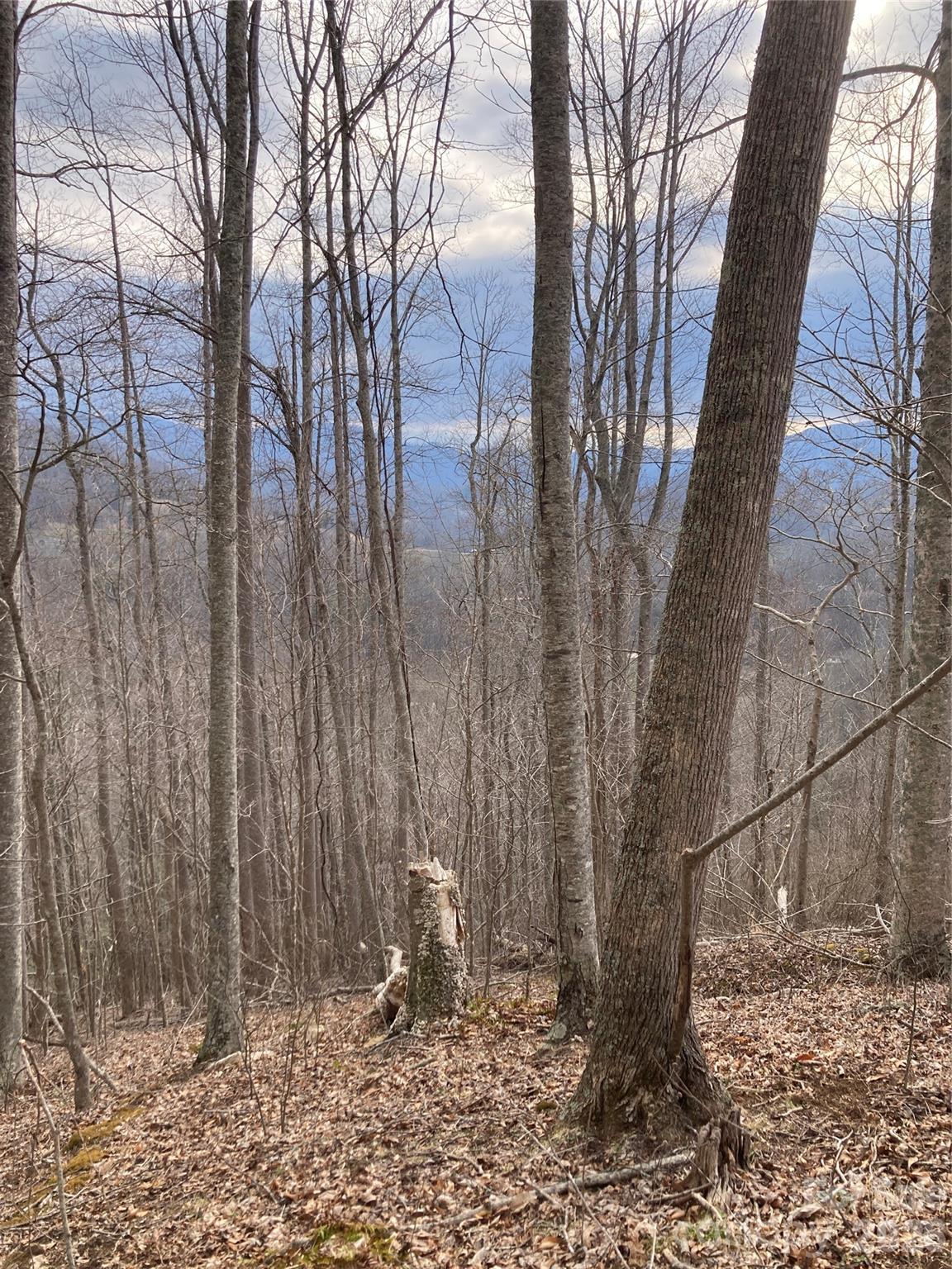 0 Sweet Creek Road Bakersville, NC 28705 - Photo 37 of 48 a backyard of a house with lots of green space