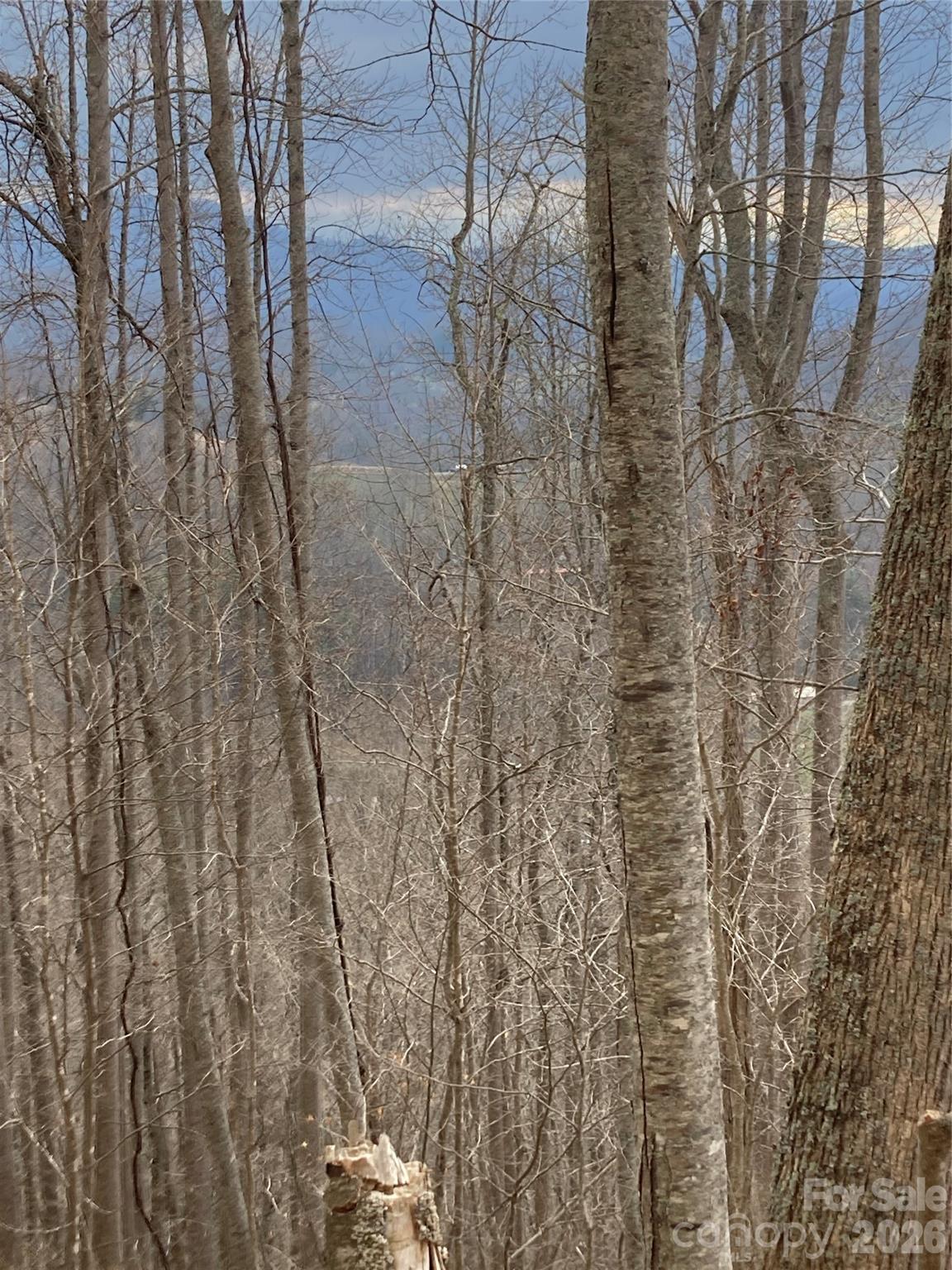 0 Sweet Creek Road Bakersville, NC 28705 - Photo 38 of 48
