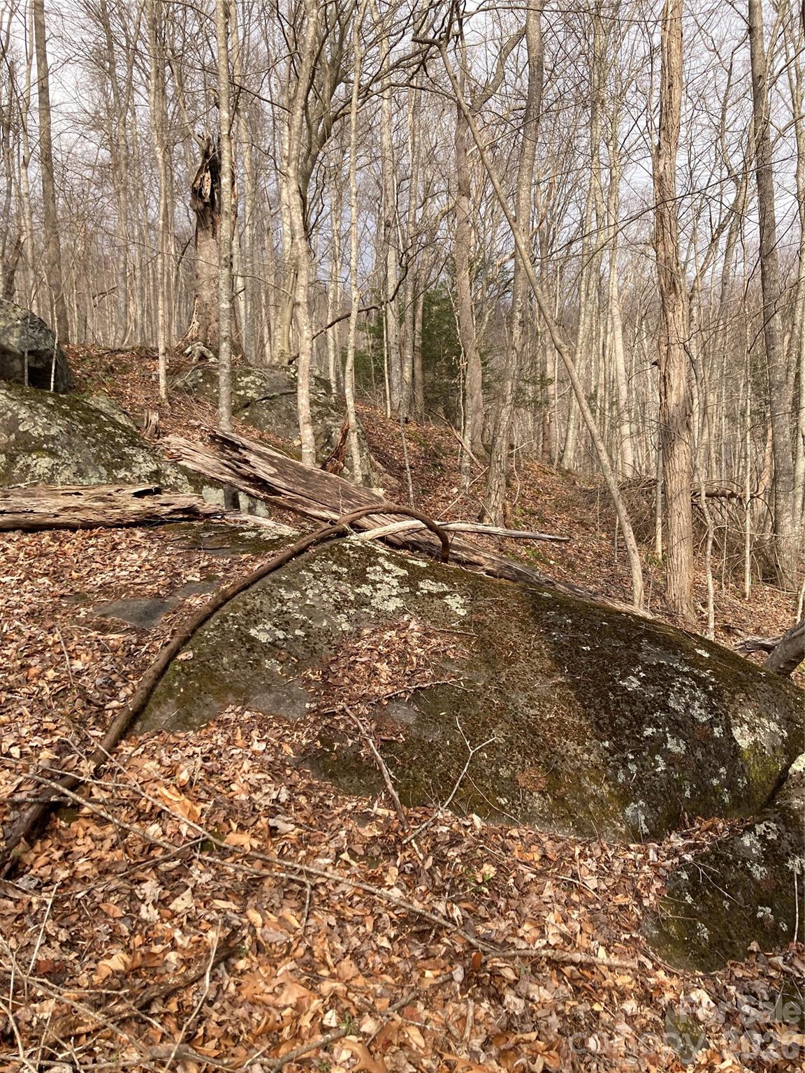 0 Sweet Creek Road Bakersville, NC 28705 - Photo 40 of 48 a backyard of a house with lots of green space