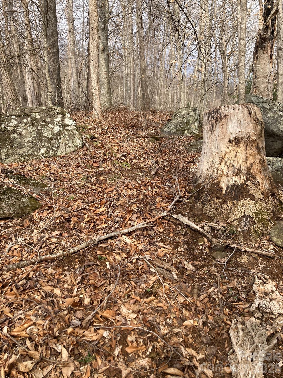 0 Sweet Creek Road Bakersville, NC 28705 - Photo 41 of 48