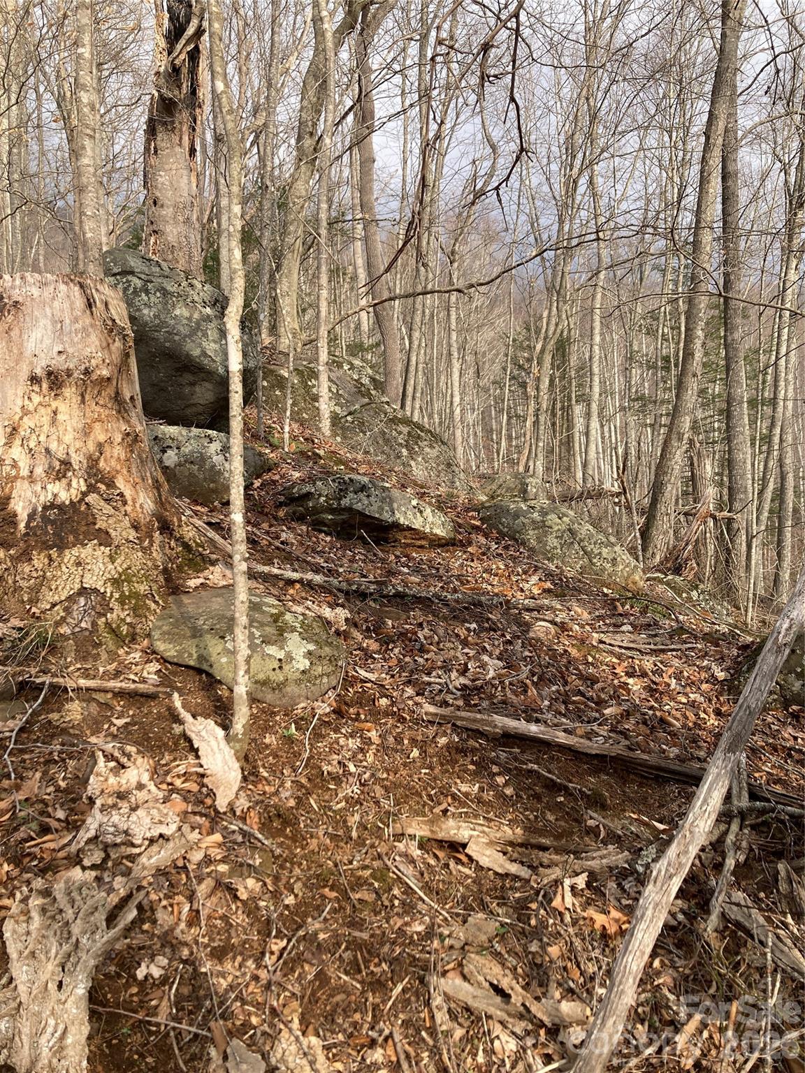 0 Sweet Creek Road Bakersville, NC 28705 - Photo 42 of 48 a backyard of a house