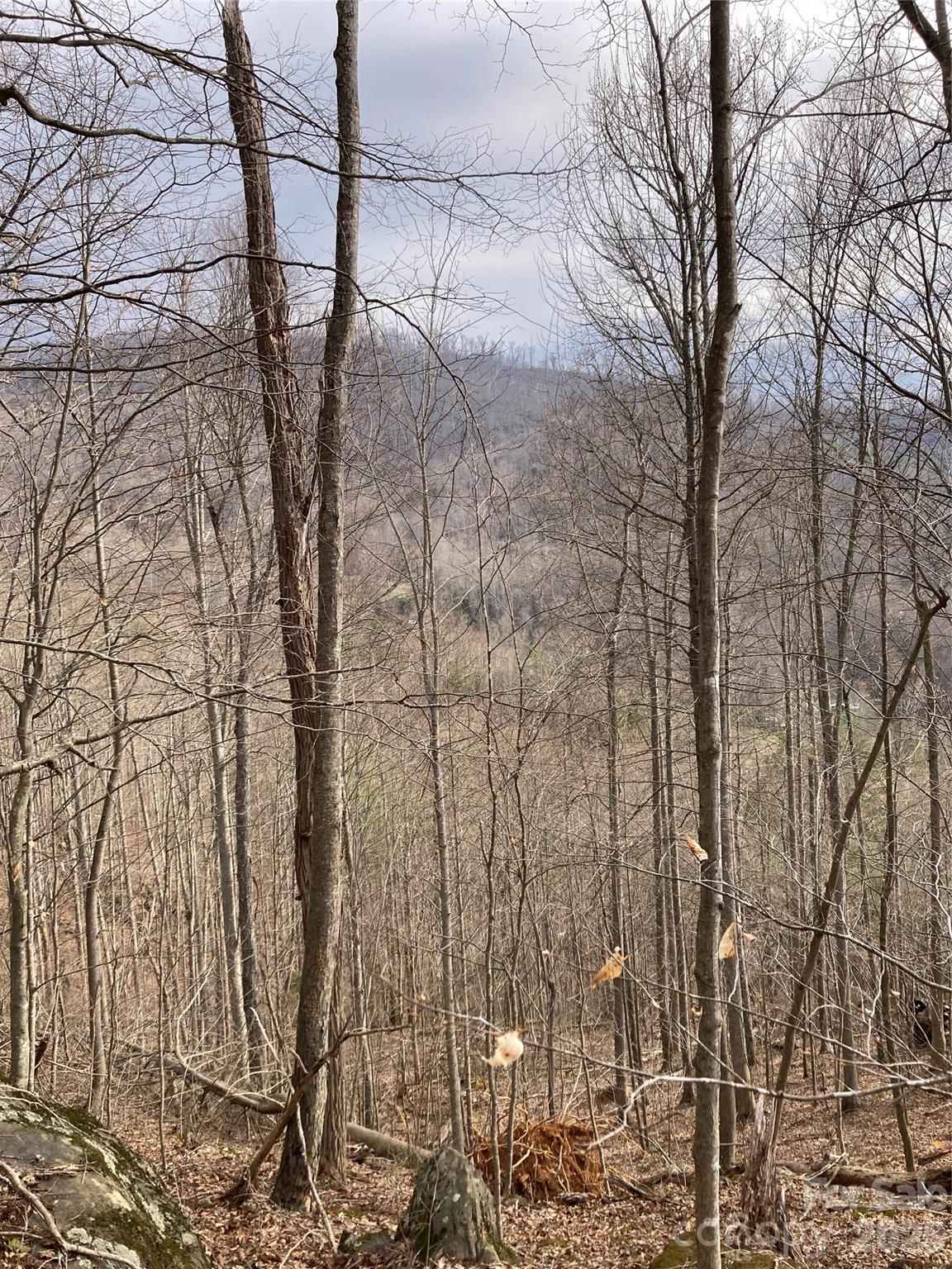 0 Sweet Creek Road Bakersville, NC 28705 - Photo 43 of 48 a view of a yard of the house