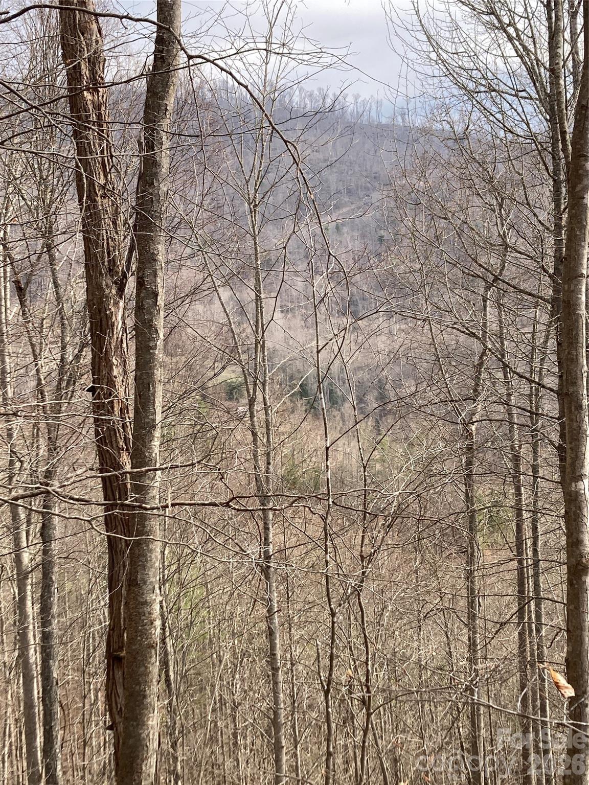 0 Sweet Creek Road Bakersville, NC 28705 - Photo 44 of 48 a close up of a shower