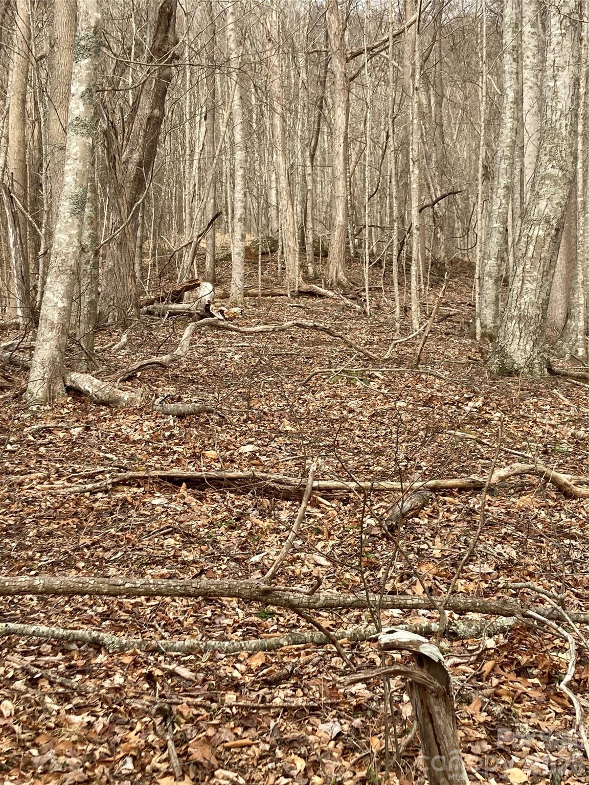 0 Sweet Creek Road Bakersville, NC 28705 - Photo 45 of 48 a view of outdoor space with wooden fence