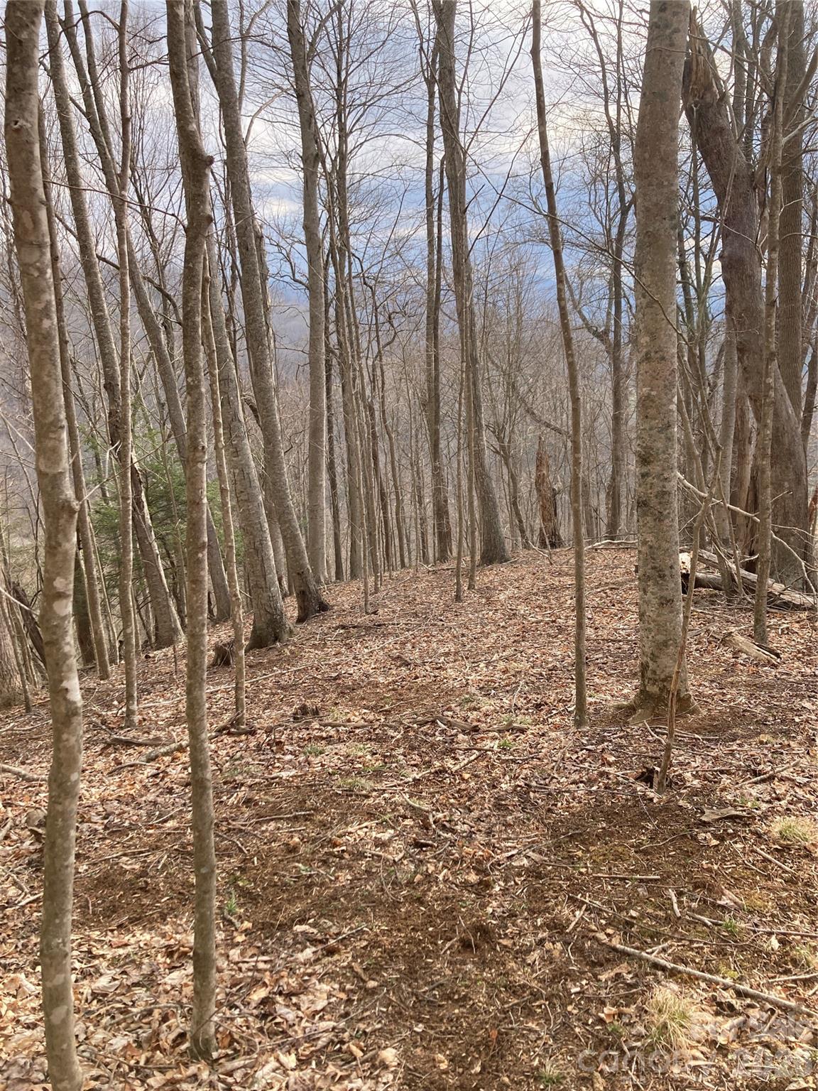 0 Sweet Creek Road Bakersville, NC 28705 - Photo 48 of 48 a view of a backyard of the house
