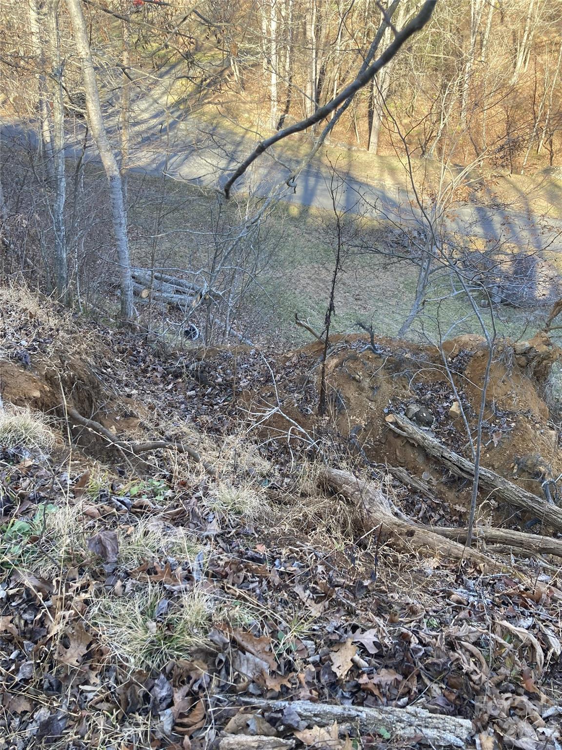 0 Sweet Creek Road Bakersville, NC 28705 - Photo 8 of 48 a backyard of a house with lots of green space