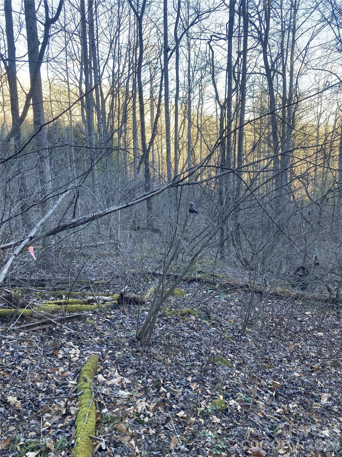 0 Sweet Creek Road Bakersville, NC 28705 - Photo 10 of 48 a backyard of a house with lots of green space