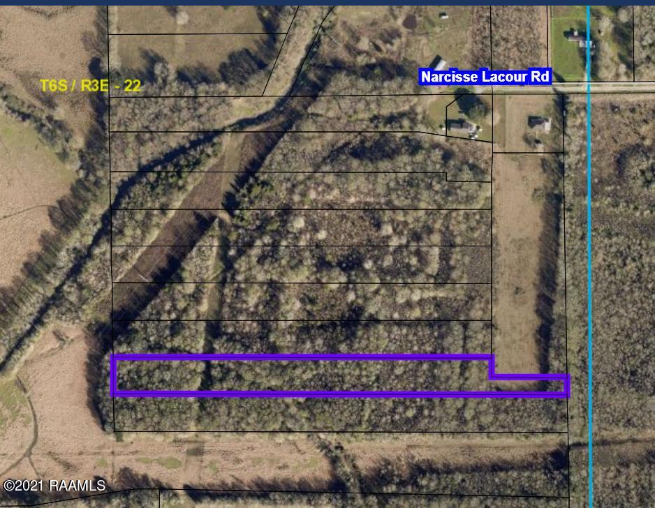 Tax Assessor Image - Copy