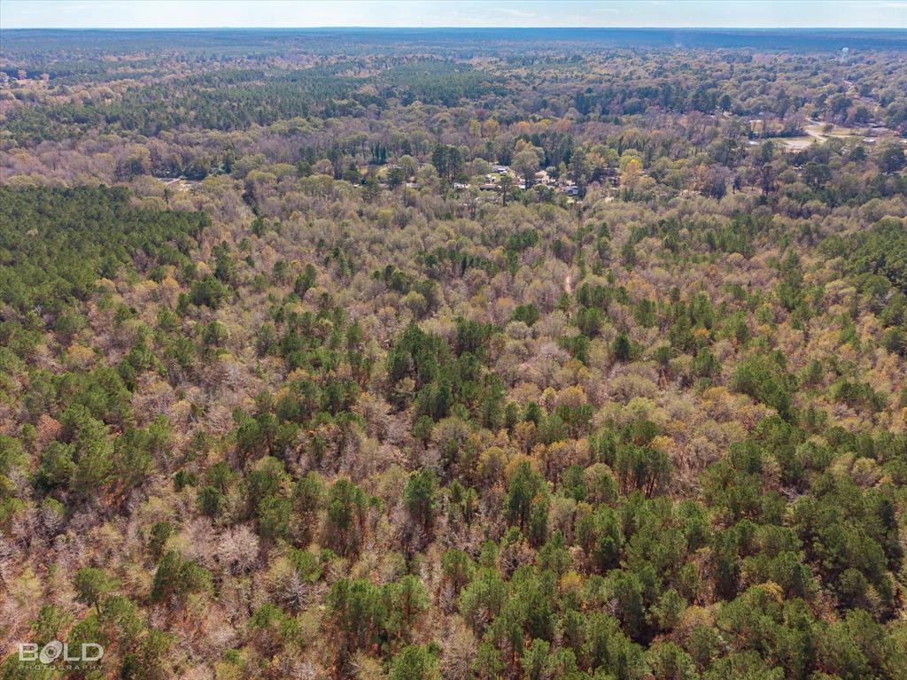 0 Camelia Street Vivian, LA 71082 - Photo 7 of 13 Aerial overview of property's location