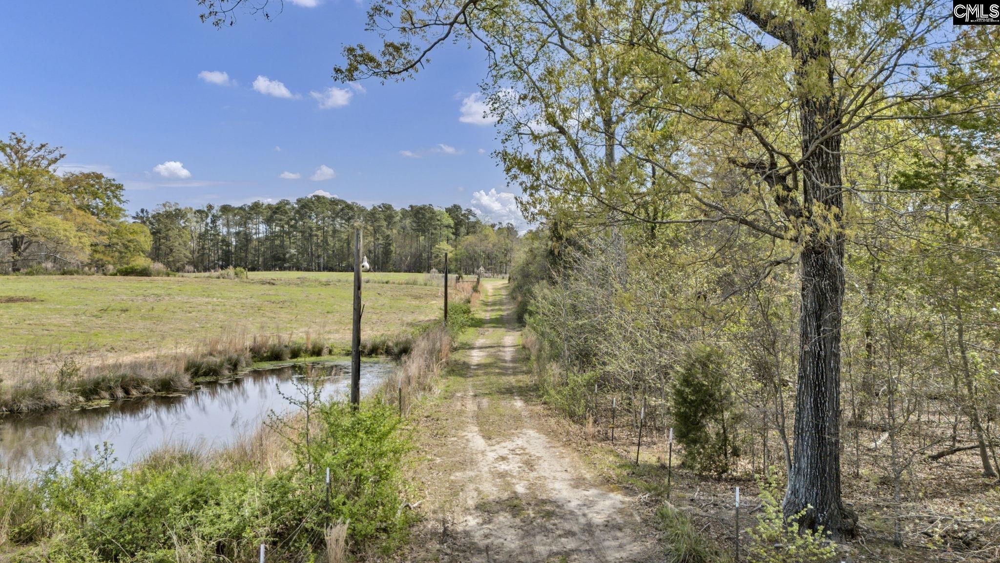 421-0 Shore Road Gilbert, SC 29054 - Photo 11 of 57