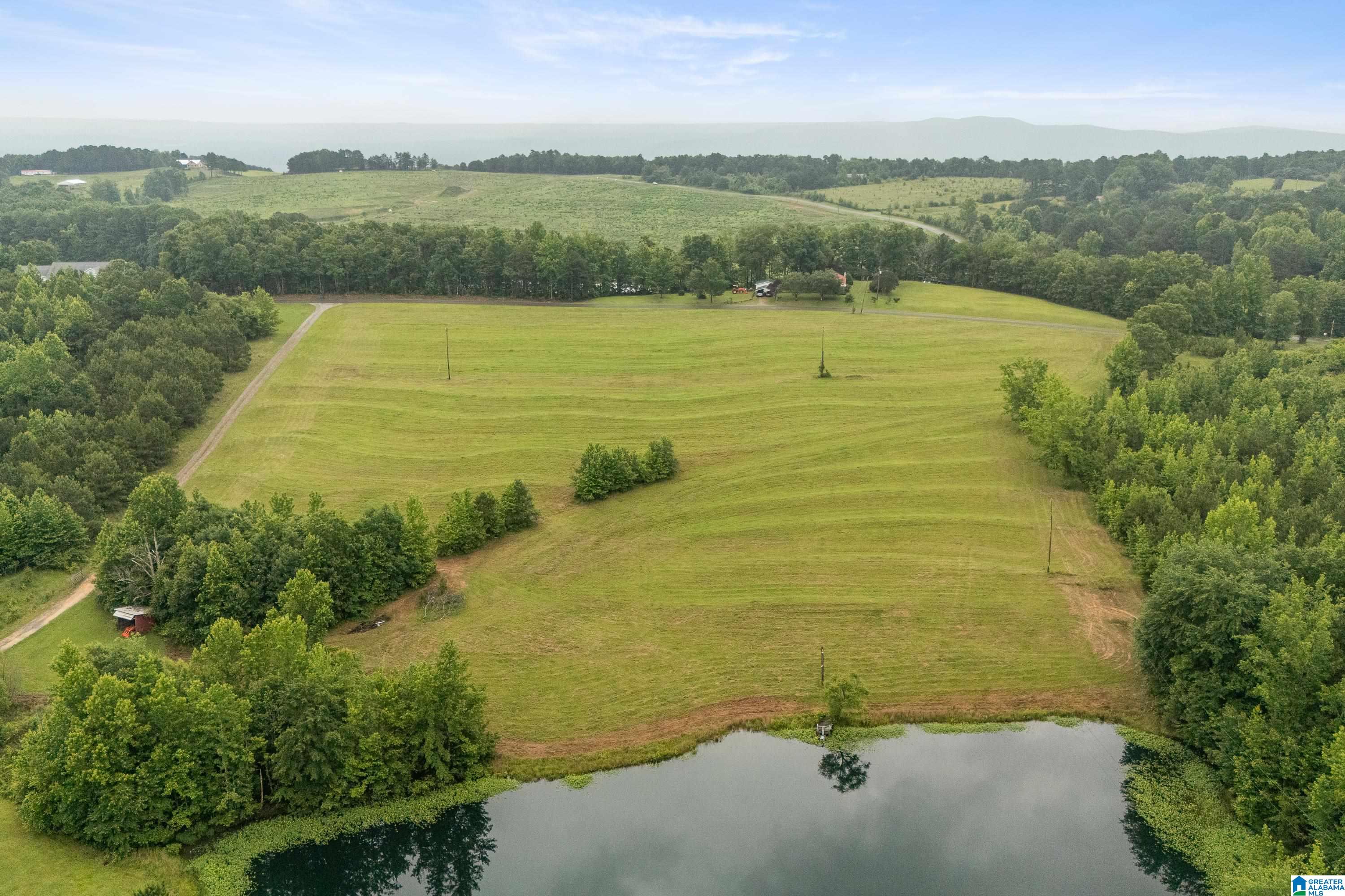 1484 Jones Chapel Loop, Unit 1484 Springville, AL 35146 - Photo 10 of 27