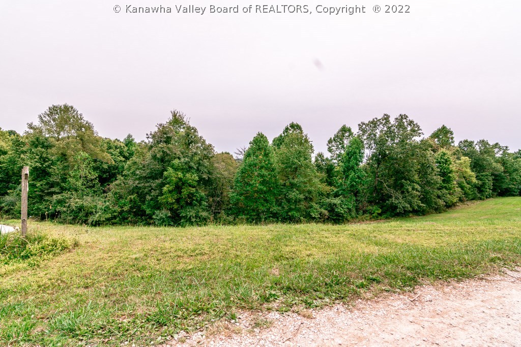 0 Jim Ridge Road Pleasureville, KY 40057 - Photo 4 of 18 Gallery Image 4