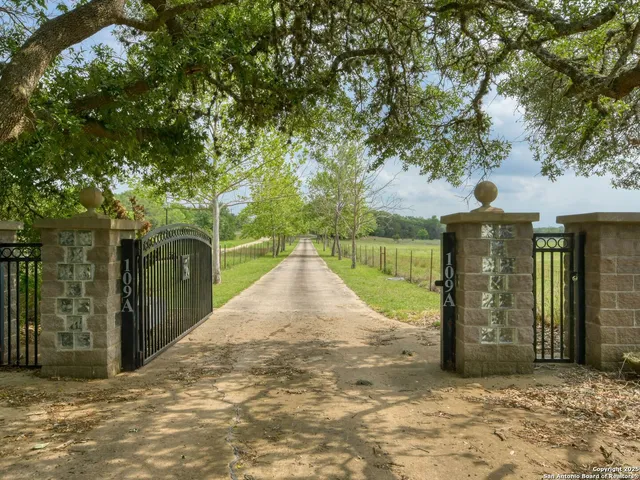 a view of a park with large trees