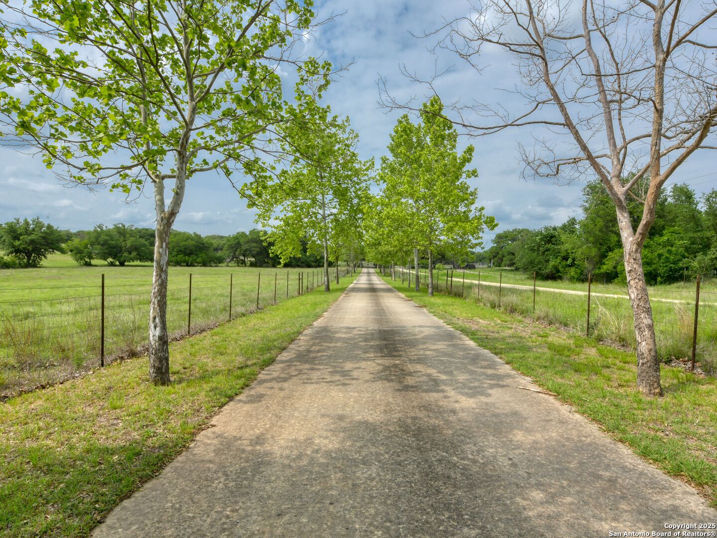 109 A Ammann Road Boerne, TX 78015 - Photo 4 of 67 a view of a park with large trees