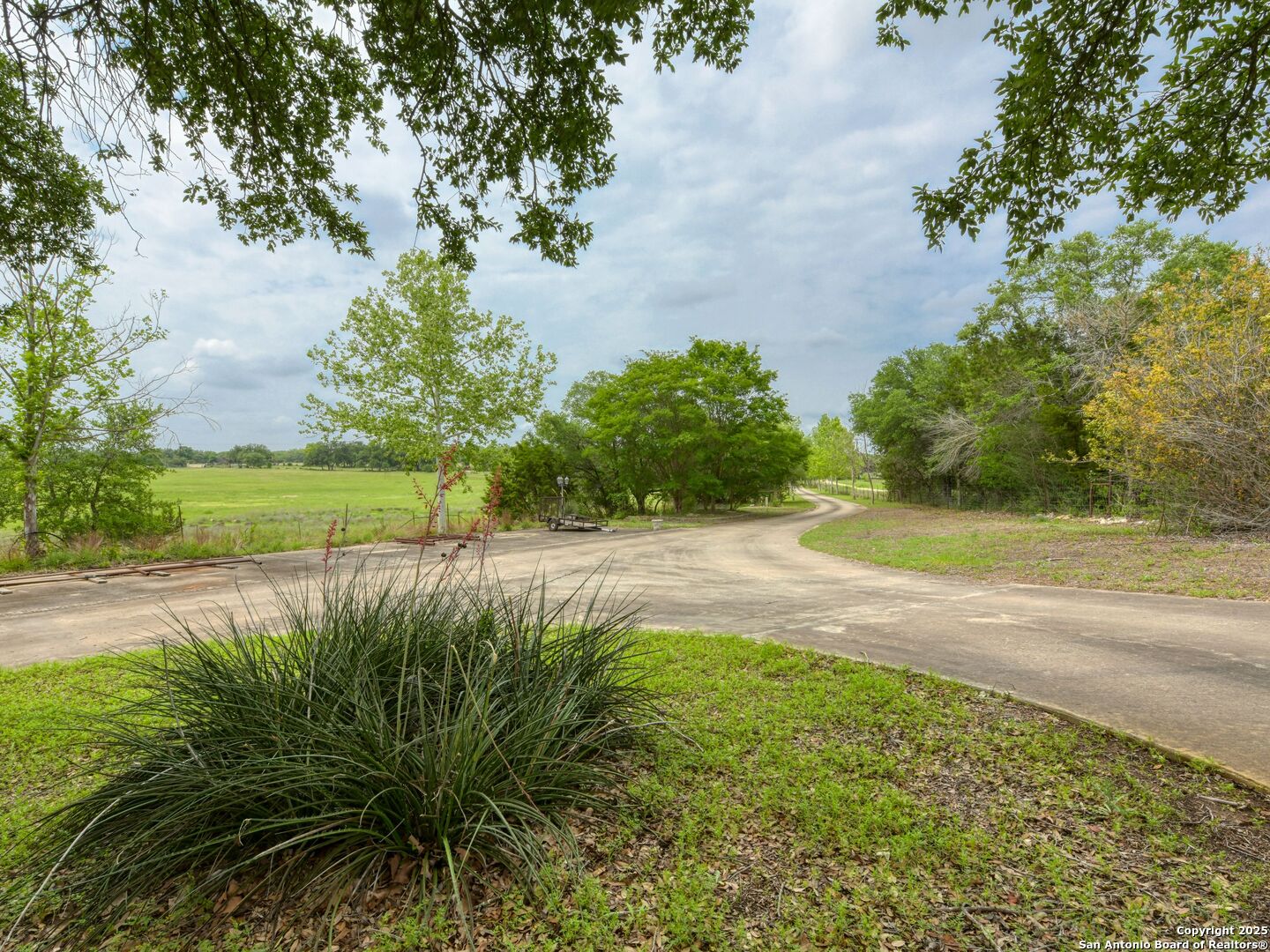 109 A Ammann Road Boerne, TX 78015 - Photo 64 of 67 a view of a yard with a large trees