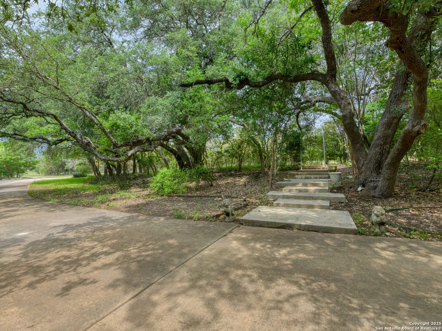 109 A Ammann Road Boerne, TX 78015 - Photo 66 of 67 a view of backyard with green space