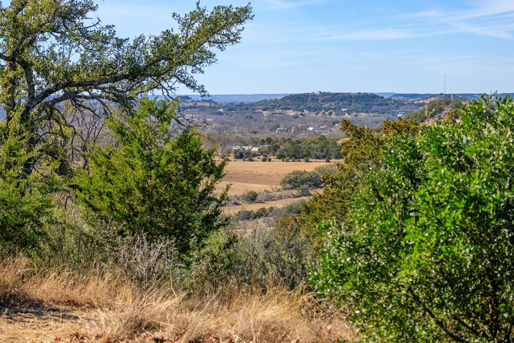21 Scenic Ridge Drive, Unit 21 Fredericksburg, TX 78624 - Photo 14 of 19 a view of a city