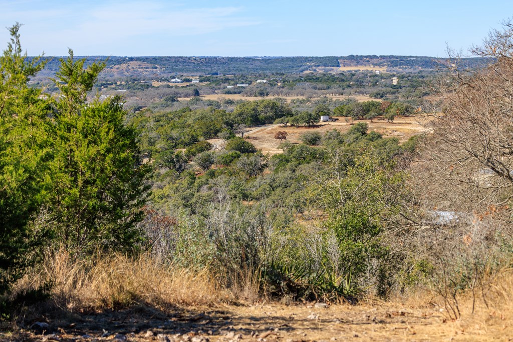 21 Scenic Ridge Drive, Unit 21 Fredericksburg, TX 78624 - Photo 17 of 19 a view of a city