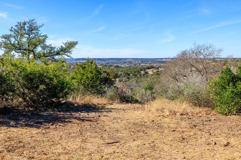 21 Scenic Ridge Drive, Unit 21 Fredericksburg, TX 78624 - Photo 18 of 19 a view of a yard with a tree