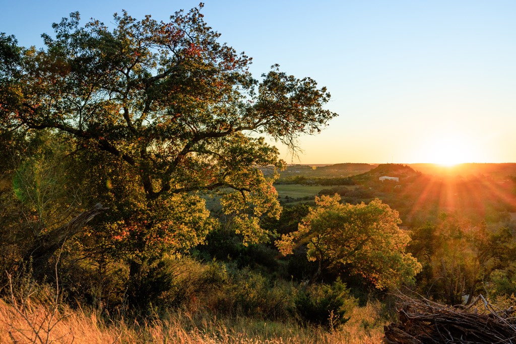 21 Scenic Ridge Drive, Unit 21 Fredericksburg, TX 78624 - Photo 9 of 19 a view of a city