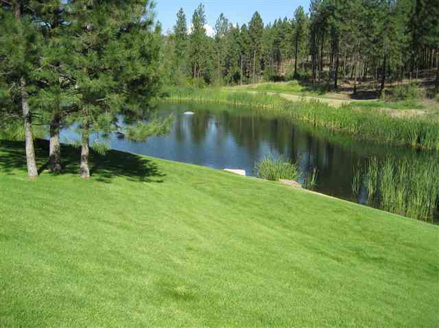 7019 South Shelby Ridge Street Spokane, WA 99224 - Photo 9 of 9 Gallery Image 9