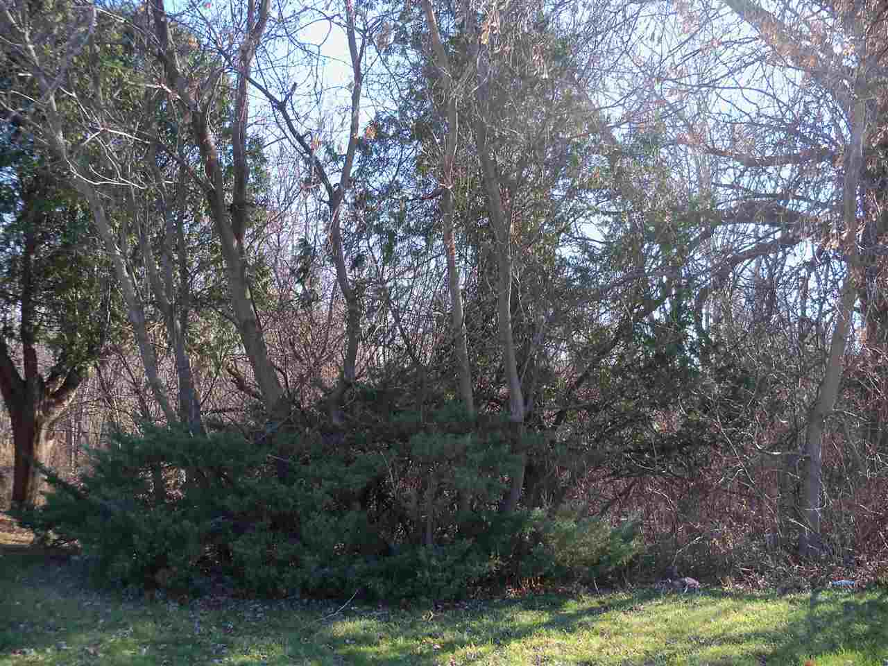 6015 South Mission Road Mount Pleasant, MI 48858 - Photo 38 of 46 1809375-37.JPG