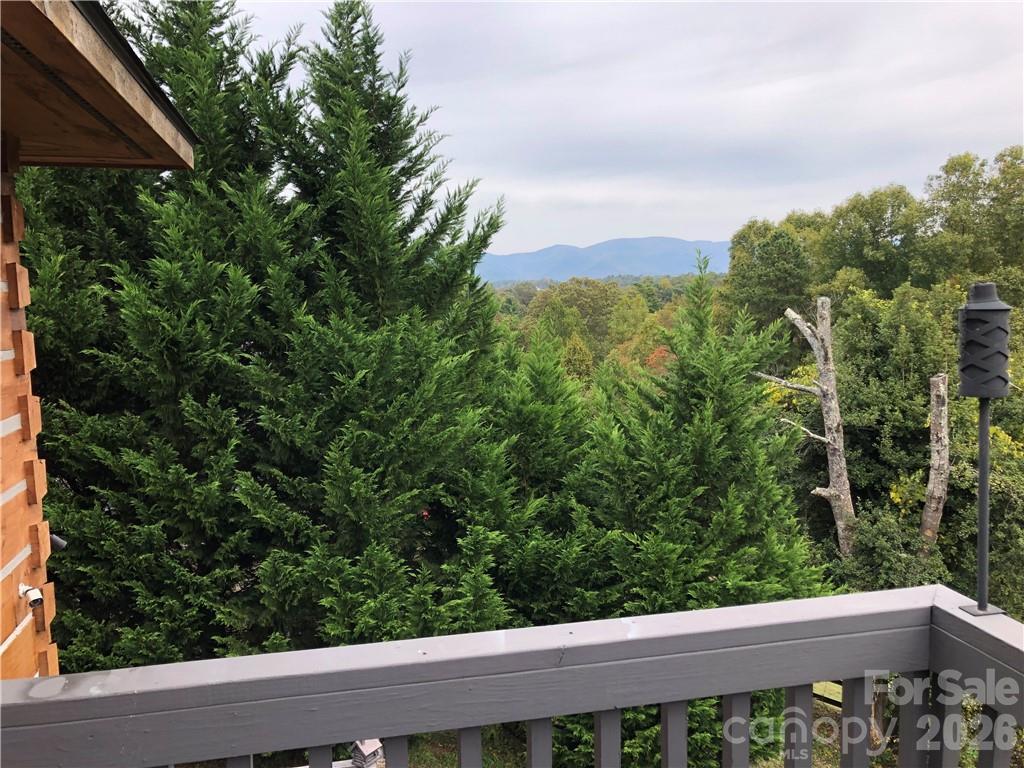 836 Burney Mountain Road Fletcher, NC 28732 - Photo 25 of 37