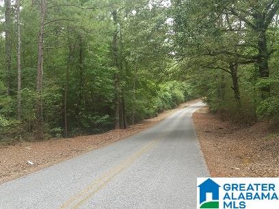 0 Coleman Road Sylacauga, AL 35150 - Photo 6 of 13