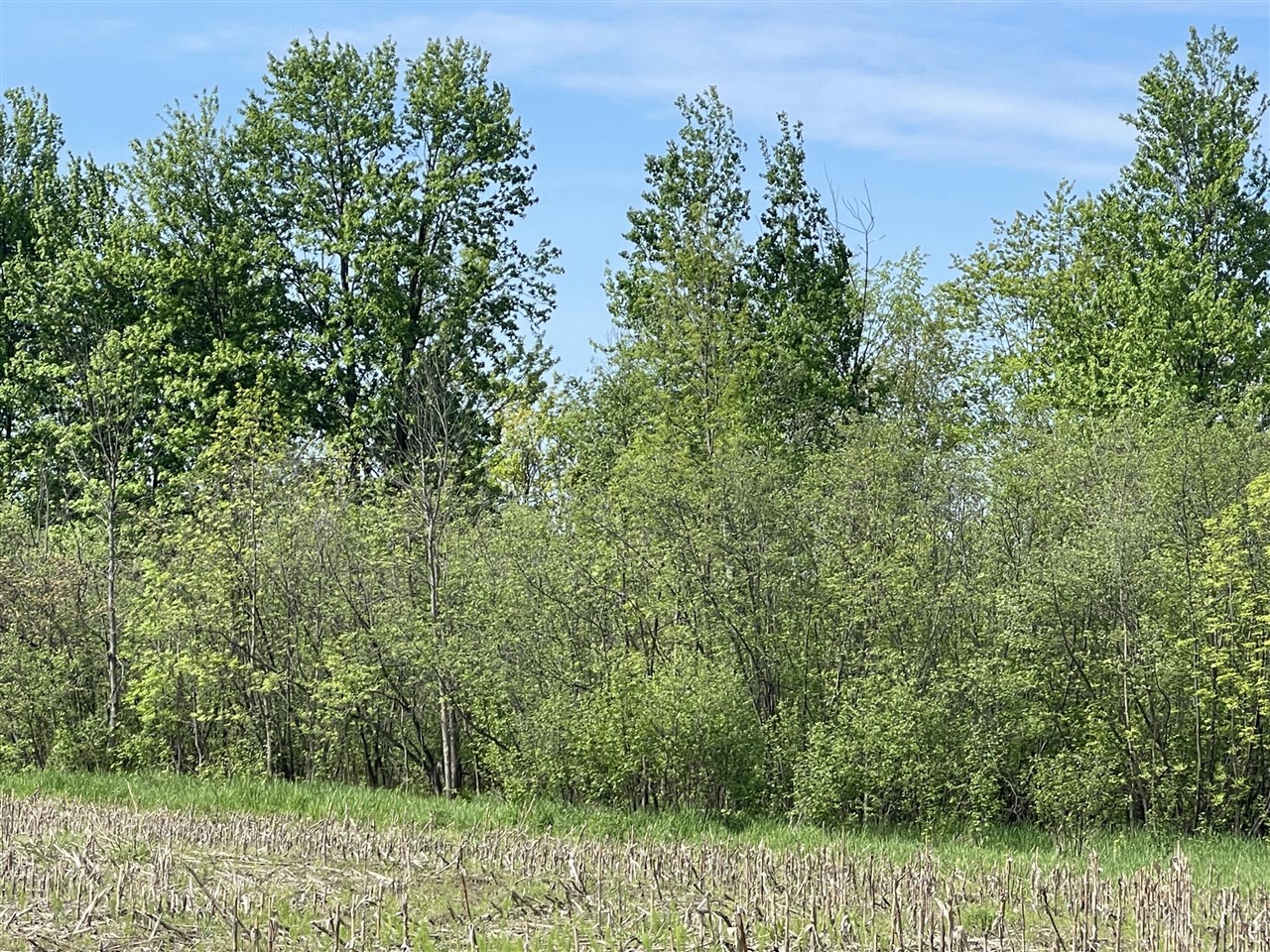 4514 22 Mile Road Northeast, Unit PARCEL 1 Sand Lake, MI 49343 - Photo 12 of 17