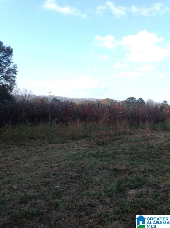 0 Lister Ferry Road, Unit 1 Gadsden, AL 35907 - Photo 30 of 30