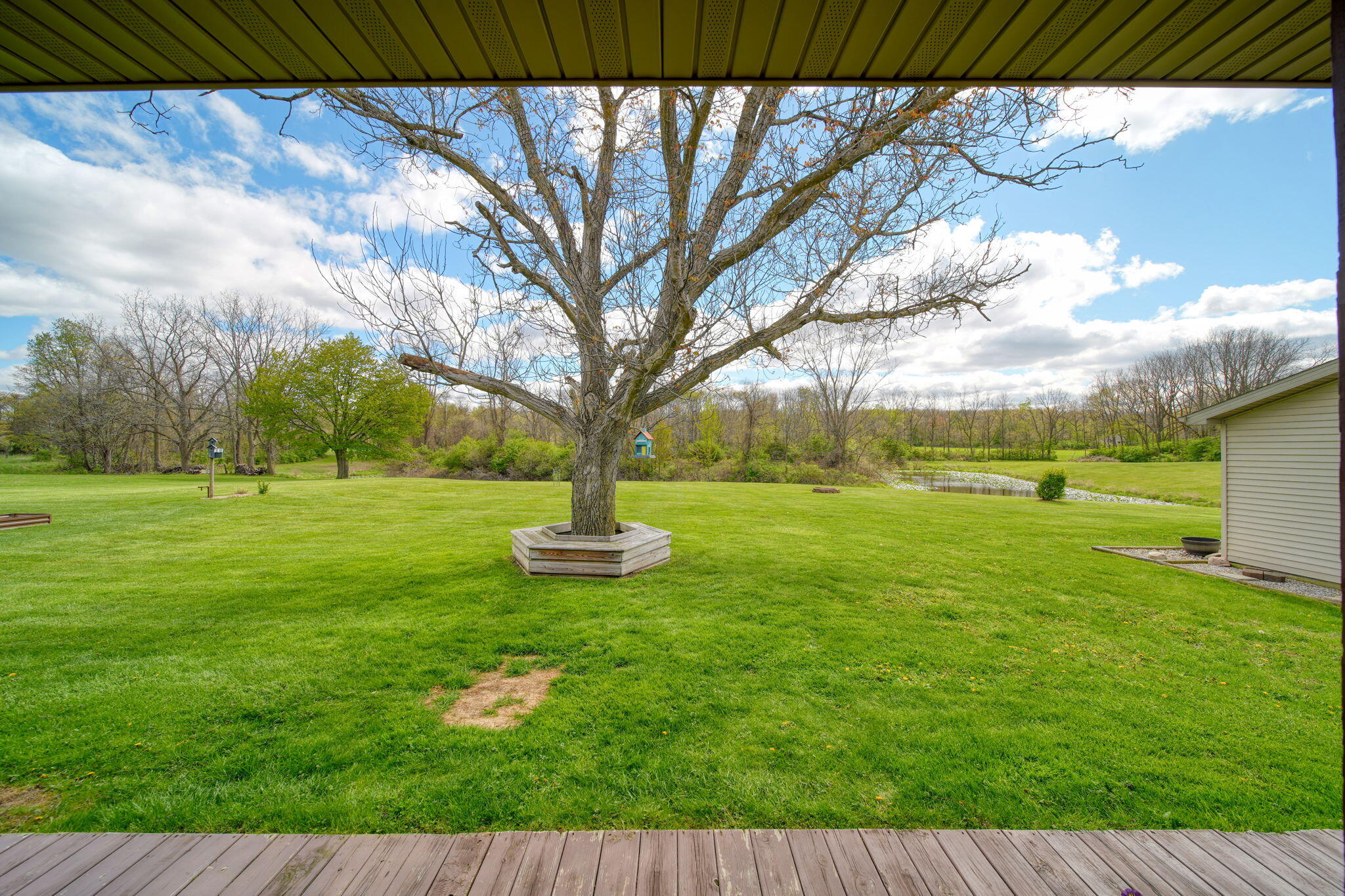 5299 Rives Junction Road Jackson, MI 49201 - Photo 48 of 64 backyard-tree